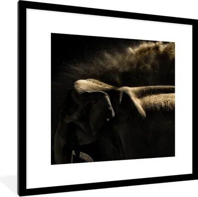 Produktbild von MuchoWow® Gerahmtes Poster Elefant schüttelt Schlamm auf schwarzem Hintergrund ab 40x40 cm - Poster mit Schwarzem Bilderrahmen Wandposter Rahmen Foto Bilder - Poster - Plakat im Rahmen