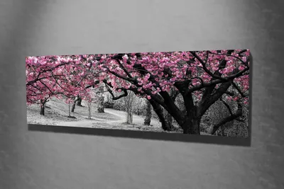 Produktbild von Wallity, PC017- MJS1286, Bunt, Leinwandbilder, 30 x 80 cm, 100% Leinwand