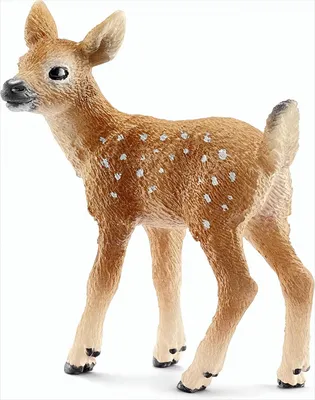 Produktbild von Schleich 14711 Weißwedelkalb