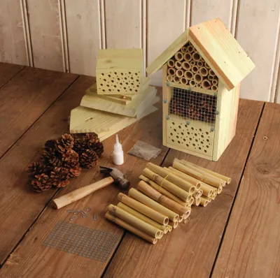 Image de Hotel a insectes a assembler
