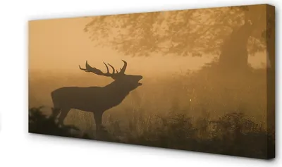 Produktbild von Leinwandbild 140x70 Wandkunst Deer Sonnenaufgang