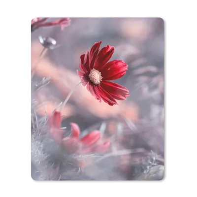 Produktbild von MuchoWow® Mauspad Mousepad Blumen - Rot - Natur - Pflanzen 30x40 cm - Mousepads - Maus Mat - Pad - Mausunterlage - Mausmatten