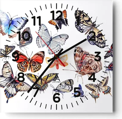 Produktbild von Wanduhr - Quadrat - Glasuhr - Schmetterlinge Illustration Bunt Flügel - 40x40cm - Schleichendes Uhrwerk - Lautlos - zum Aufhängen bereit - Dekoration Modern - Wanddekoration aus Glas - C4AC40x40-2916