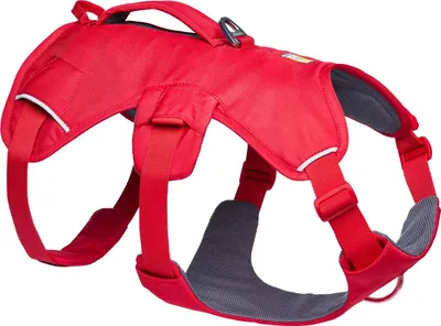 Immagine prodotto di Pettorina per cani Ruffwear Web Master Harness Red Canyon, taglia: M