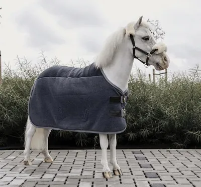 Produktbild von Kentucky Horsewear Abschwitzdecke Heavy Fleece Tiny Ponydecke Grey 80 cm