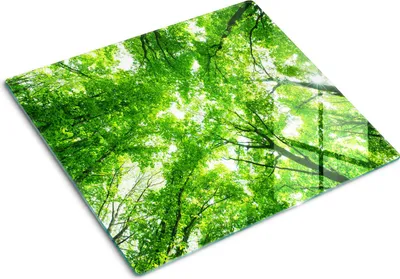 Produktbild von Tulup Glas Herdabdeckplatte Glaskeramikkochfeld-Abdeckung Spritzschutz Glasabdeckplatte Kochplattenabdeckung und Schneidebrett - Einteilig - 60x52 cm Grüner Wald