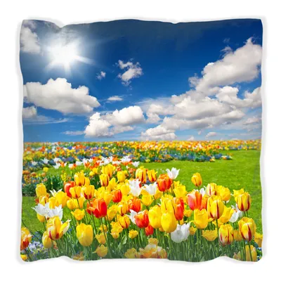 Produktbild von Wallario Premium Kissen, weiche Oberfläche, mit Motiv Tulpenwiese unter blauem Himmel, Größe: 30 x 30 cm, mit weißer Rückseite