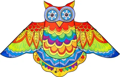 Image de Cerf-volant pour enfants Jazzy Owl Kite Eule HQ Drachen