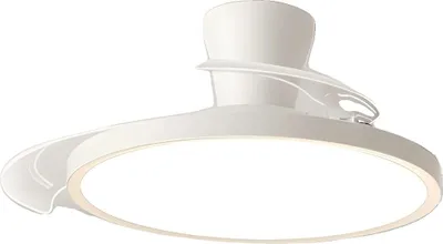Image de Ventilateur de plafond, pales rétractables, éclairage LED réglable, 42 pouces