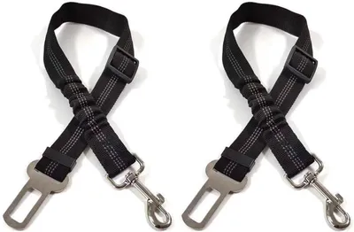 Produktbild von Hundegurt – 2 Stück – verstellbar – Nylon mit Karabinerhaken