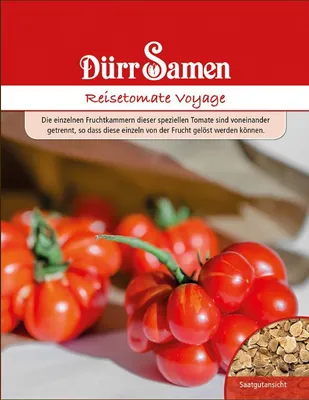 Produktbild von Reisetomate Voyage | Reisetomatensamen von Dürr Samen