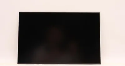 Obrázek produktu pro Lenovo DISPLAY FRU AUO 13.3 WUXGA IPS 300nit (5D11D34360)