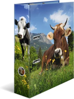 Produktbild von HERMA 20140 Ordner A4 Kühe, 7 cm breit, Ringordner mit Tier Motiv, bunter Aktenordner mit Innendruck für Jungen, Mädchen und Kinder