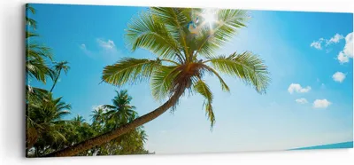 Produktbild von Bild auf Leinwand - Leinwandbild - Strand Palme Meer - 120x50cm - Wand Bild - Wanddeko - Wandbilder - Leinwanddruck - Bilder - Kunstdruck - Wanddekoration - Leinwand bilder - Wandkunst - AB120x50-3570