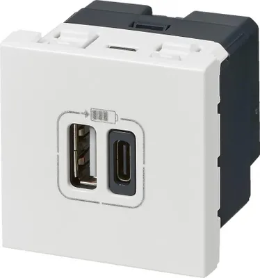 Image de Prise double avec USB C et A, LEGRAND Mosaic, blanc
