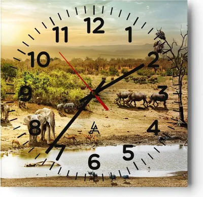 Produktbild von Wanduhr - Quadrat - Glasuhr - Safari Tiere - 40x40cm - Schleichendes Uhrwerk - Lautlos - zum Aufhängen bereit - Dekoration Modern - Wanddekoration aus Glas - C4AC40x40-3880