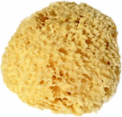 Produktbild von Croll & Denecke Naturschwamm Modell C017