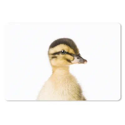 Produktbild von MuchoWow® Mauspad Mousepad Ente - Gelb - Tiere - Natur 27x18 cm - Mousepads - Maus Mat - Pad - Mausunterlage - Büroartikel - Desk Matten