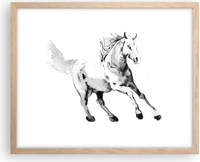 Produktbild von Gerahmtes Poster - Rahmen in heller Eiche - Pferd Galopp Tier - 50x40 cm - Wand Bild - Wanddeko - Wandbilder - Kunstposter - Wandposter - Bilderrahmen - Bilder - Kunstdruck - P2NAA50x40-5117