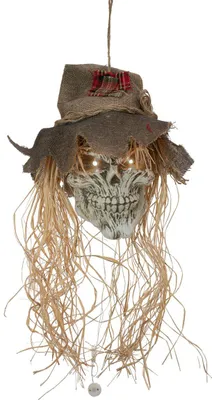 Immagine prodotto di EUROPALMS Teschio spaventapasseri di Halloween, 70 cm