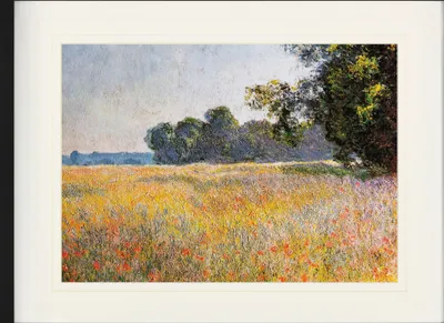 Produktbild von Claude Monet Zarámovaný obraz s elegantním paspartou | Wall Art | V rámu - Ovesné pole s máky, 1890 (60 x 80 cm)
