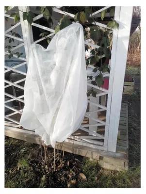Produktbild von Pflanzendecke Flo 89750, Vliesstoff, 180x120 cm, Frost- & Windschutz, 30gr/m2