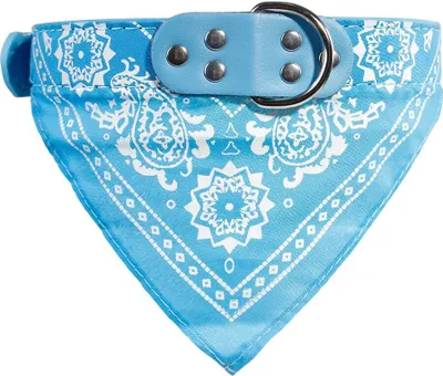 Immagine prodotto di Collare per cani con fazzoletto azzurro XL