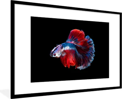 Produktbild von MuchoWow® MuchoWow® Gerahmtes Poster Fisch - Schwanz - Schwarz 90x60 cm - Poster mit zchwarzem Bilderrahmen - Wanddekoration - Fotos