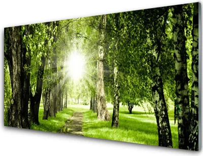 Produktbild von Acrylglasbilder 100x50 Wandbild Druck Wald Sonne Fußpfad Natur