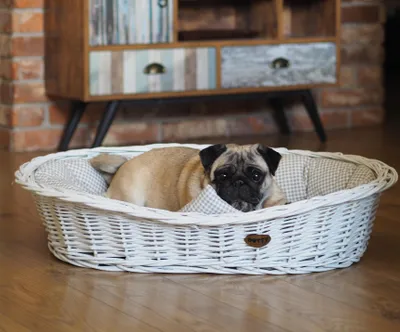 Immagine prodotto di Cesto in vimini bianco sbiancato per cani Cesto Wiki con cuccia in cotone - Beige con motivo a scacchi - DOTTY