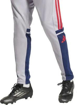 Produktbild von adidas Trainingshose Herren im 3 Streifen Design, Größe:L, Farbe:Grau