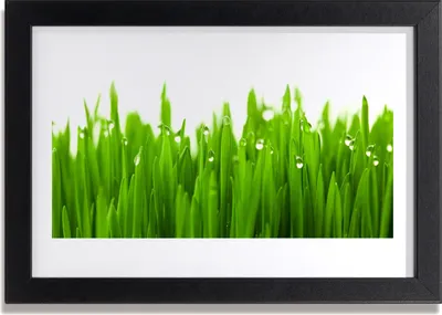 Produktbild von Bild 30x20 MDF-Rahmen Wandkunst Gras Natur Pflanze