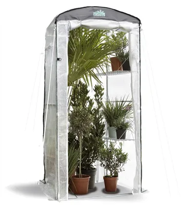 Produktbild von BioGreen Überwinterungszelt "Patioflora 100/L" für Pflanzen L 100 x B 80 x H 220 cm - 4 Belüftungsfenster
