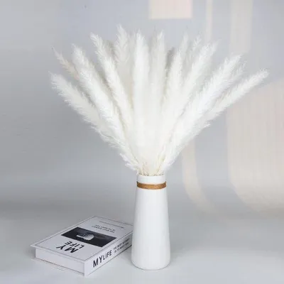 Image de Lot de 15 herbes de la pampa pour la décoration du salon