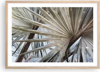 Produktbild von Gerahmtes Poster - Rahmen in heller Eiche - Blatt Palme Natur - 70x50 cm - Wand Bild - Wanddeko - Wandbilder - Kunstposter - Wandposter - Bilderrahmen - Bilder - Kunstdruck - P2NAA70x50-5056