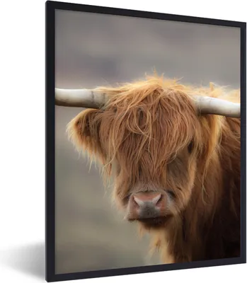 Produktbild von MuchoWow® Gerahmtes Poster Schottischer Highlander - Hörner - Haare 30x40 cm - Poster mit Schwarzem Bilderrahmen Wandposter Rahmen Foto Bilder - Wanddeko - Kunstdrucke