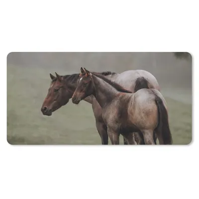 Produktbild von MuchoWow® Mauspad Mousepad Pferde - Natur - Nebel 60x30 cm - Mousepads - Maus Mat - Pad - Mausunterlage - Nachhaltig
