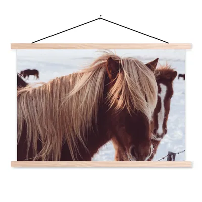 Obrázek produktu pro MuchoWow® Textilní plakát - Koně - Sníh - hnědý - 60x40cm - S hnědými lamelami