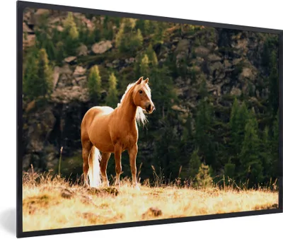 Produktbild von MuchoWow® Gerahmtes Poster Haflinger Pferd in den Bergen 90x60 cm - Poster mit Schwarzem Bilderrahmen Wandposter Rahmen Foto Bilder - Fotorahmen - Foto-Plakat