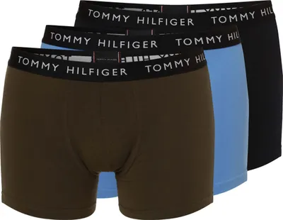 Image de Slip Tommy Hilfiger UM0UM022030V2 pour Homme