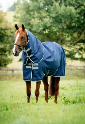 Produktbild von Horseware Amigo Ripstop 900D Plus 200g mit Halsteil Turnout Decke navy/titanium grey , Horseware Deckengröße:125 cm / 5´9