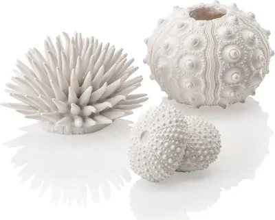 Obrázek produktu pro biOrb sea urchins set white