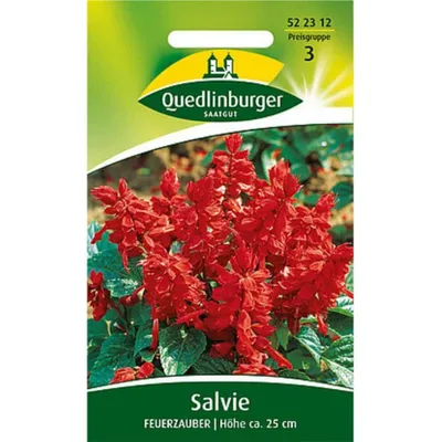 Produktbild von Quedlinburger Saatgut - Salvie Feuerzauber - Samen - 522312