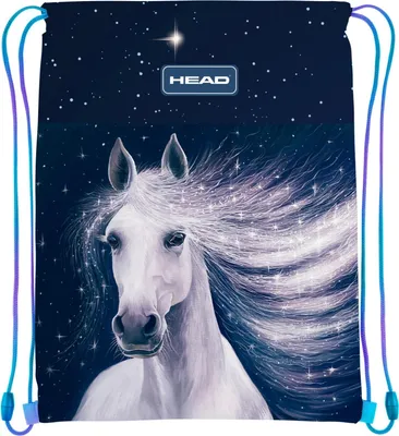 Obrázek produktu pro Taška na boty HEAD GALAXY, AD1