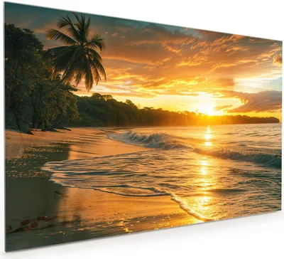 Produktbild von Küchenrückwand Spritzschutz Glas mit Motiv Sonnenuntergang Strand 40 x 40 cm