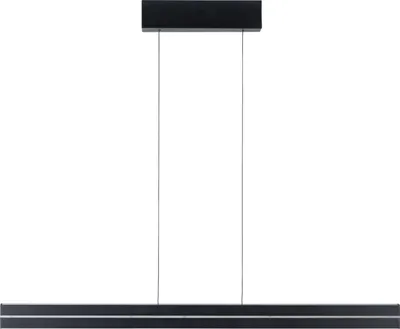 Produktbild von Paulmann LED Pendelleuchte Raiko mit RGBW und Tunable White Schwarz