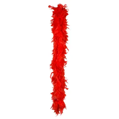 Produktbild von Rote Federboa für Karneval, Fasching und Party (50g - 180cm)