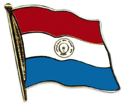 Produktbild von Flaggen-Pin vergoldet Paraguay