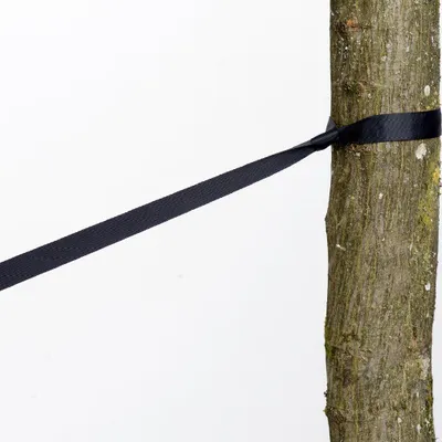 Produktbild von AMAZONAS AZ-3025004, Aufhänge-Set, Schwarz, 150 kg, Polyester, 800 mm