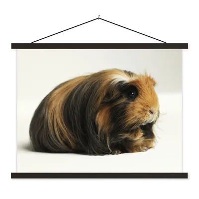 Produktbild von MuchoWow® Textilposter Schwarz-weißes Meerschweinchen 40x30 cm mit schwarzem Rahmen - Dekorationen